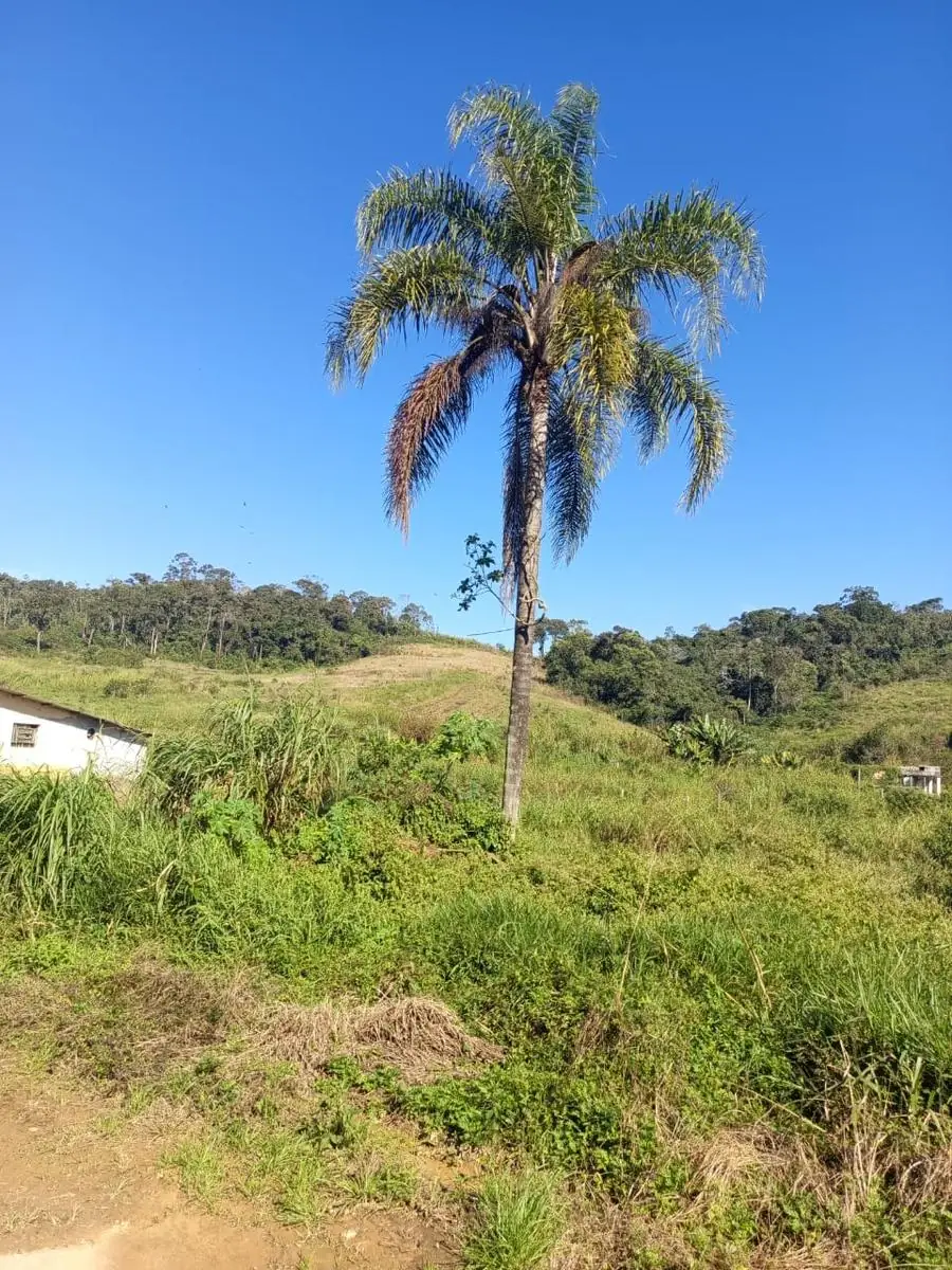 Terreno do futuro loteamento fechado Vila Moraes Mogi das Cruzes