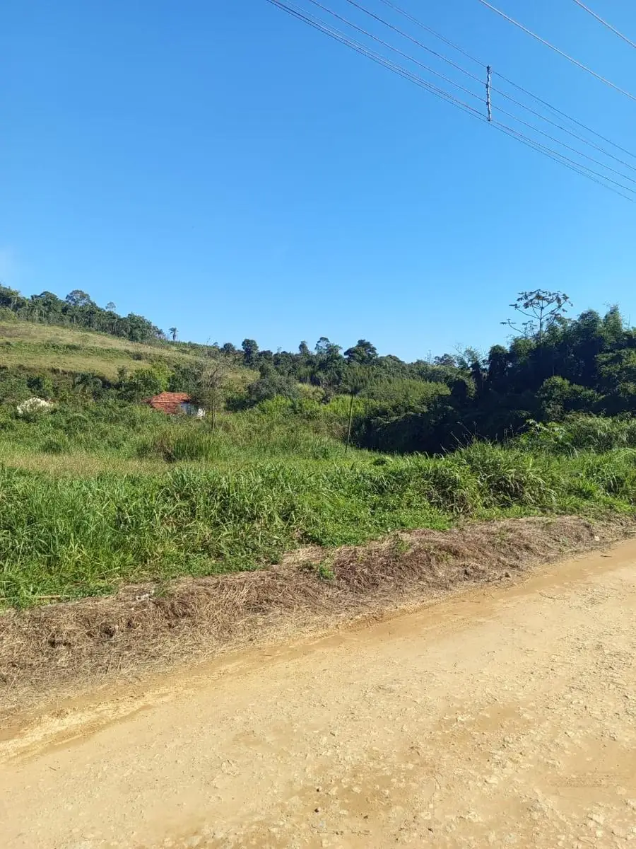 Vista do terreno com mata preservada ao fundo