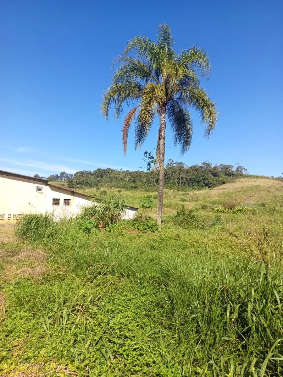 Área verde nativa no terreno do loteamento
